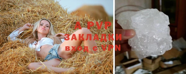 a pvp Алзамай